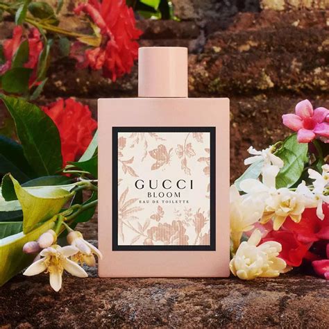 scent of gucci bloom|Gucci Bloom release date.